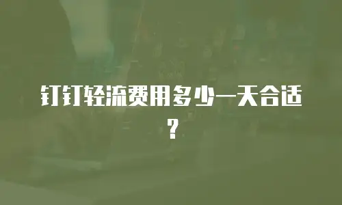 钉钉轻流费用多少一天合适？