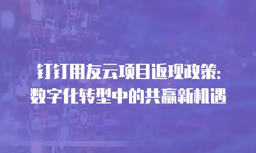 钉钉用友云项目返现政策：数字化转型中的共赢新机遇