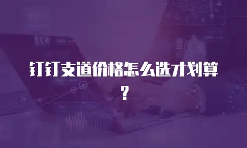 钉钉支道价格怎么选才划算？
