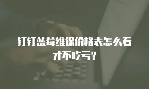 钉钉蓝莓维保价格表怎么看才不吃亏？