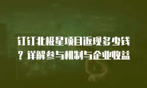 钉钉北极星项目返现多少钱？详解参与机制与企业收益