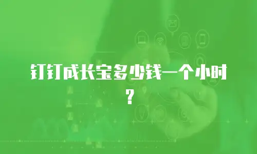 钉钉成长宝多少钱一个小时？