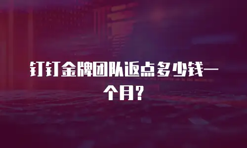 钉钉金牌团队返点多少钱一个月？
