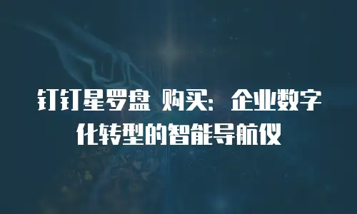 钉钉星罗盘 购买：企业数字化转型的智能导航仪