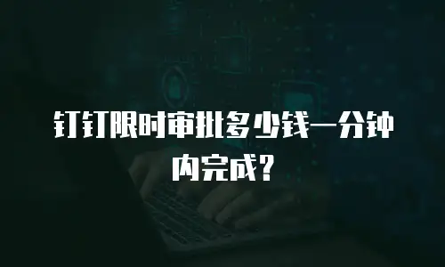 钉钉限时审批多少钱一分钟内完成？