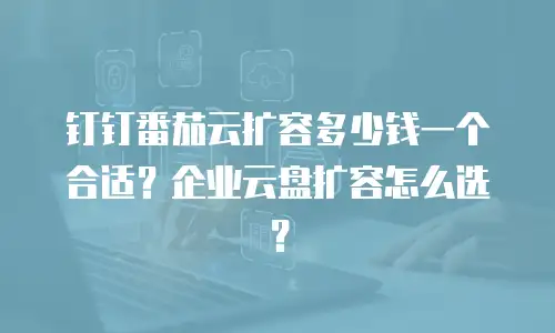 钉钉番茄云扩容多少钱一个合适？企业云盘扩容怎么选？