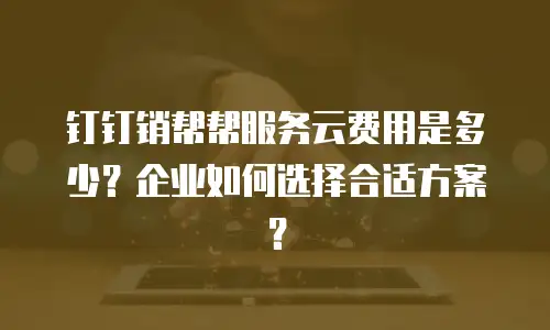 钉钉销帮帮服务云费用是多少？企业如何选择合适方案？