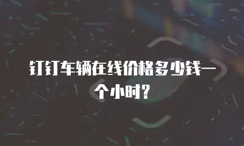 钉钉车辆在线价格多少钱一个小时？