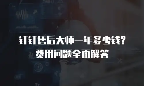 钉钉售后大师一年多少钱？费用问题全面解答