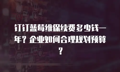 钉钉蓝莓维保续费多少钱一年？企业如何合理规划预算？