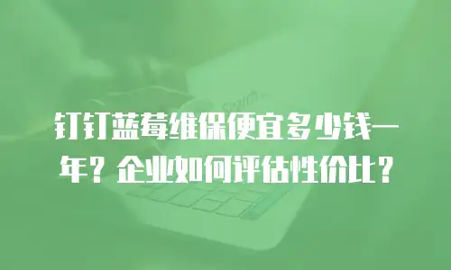 钉钉蓝莓维保便宜多少钱一年？企业如何评估性价比？
