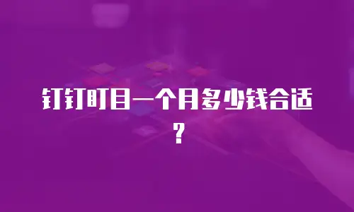 钉钉盯目一个月多少钱合适？