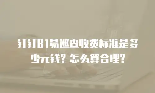 钉钉B1易巡查收费标准是多少元钱？怎么算合理？