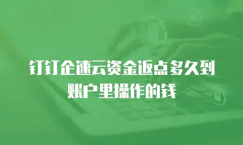钉钉企速云资金返点多久到账户里操作的钱
