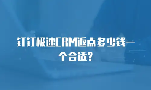 钉钉极速CRM返点多少钱一个合适？