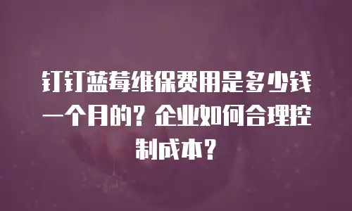 钉钉蓝莓维保费用是多少钱一个月的？企业如何合理控制成本？