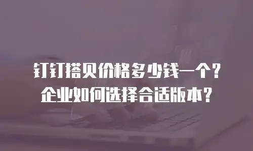 钉钉搭贝价格多少钱一个？企业如何选择合适版本？