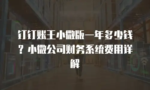 钉钉账王小微版一年多少钱？小微公司财务系统费用详解