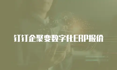 钉钉企聚变数字化ERP报价