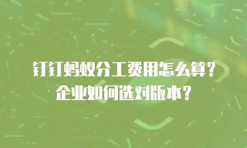钉钉蚂蚁分工费用怎么算？企业如何选对版本？