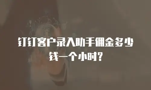 钉钉客户录入助手佣金多少钱一个小时？