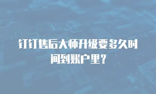 钉钉售后大师升级要多久时间到账户里？
