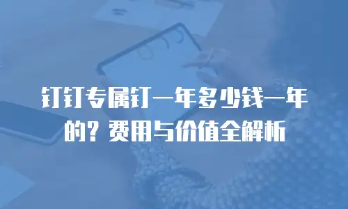 钉钉专属钉一年多少钱一年的？费用与价值全解析