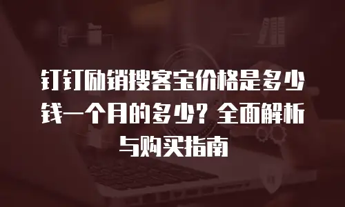钉钉励销搜客宝价格是多少钱一个月的多少？全面解析与购买指南
