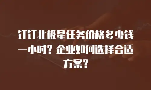 钉钉北极星任务价格多少钱一小时？企业如何选择合适方案？