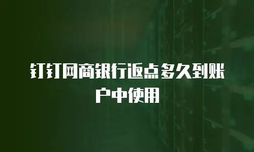 钉钉网商银行返点多久到账户中使用