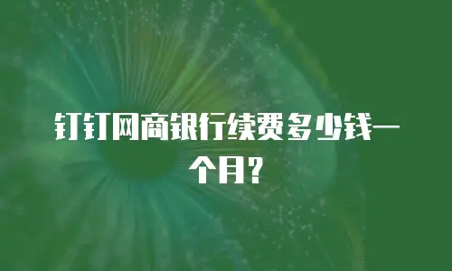 钉钉网商银行续费多少钱一个月？