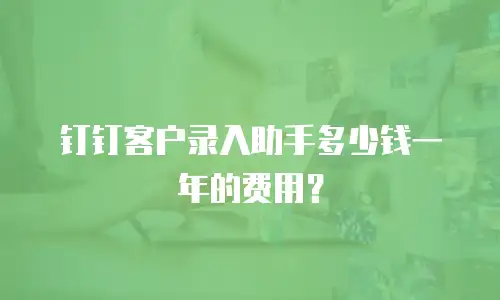 钉钉客户录入助手多少钱一年的费用？