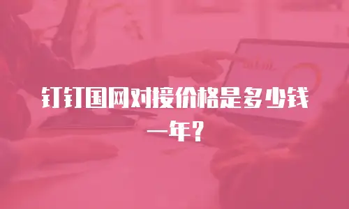 钉钉国网对接价格是多少钱一年？