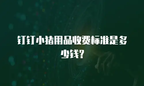 钉钉小猪用品收费标准是多少钱？