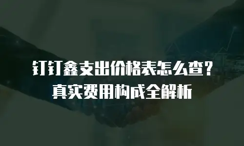 钉钉鑫支出价格表怎么查？真实费用构成全解析