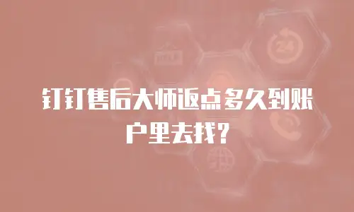 钉钉售后大师返点多久到账户里去找？