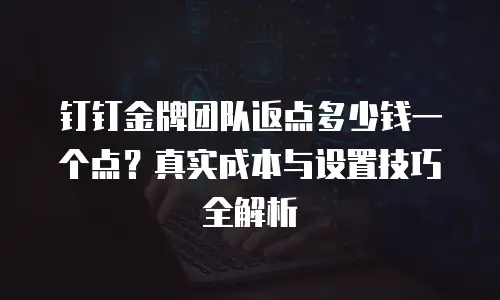 钉钉金牌团队返点多少钱一个点？真实成本与设置技巧全解析