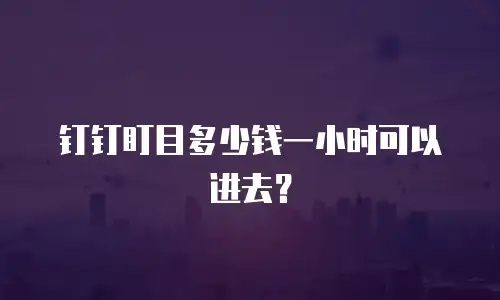 钉钉盯目多少钱一小时可以进去？