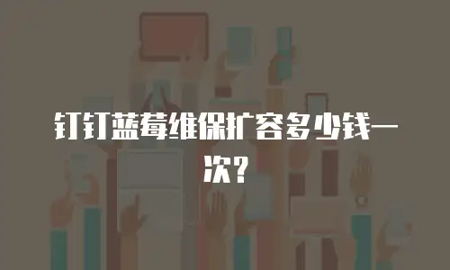 钉钉蓝莓维保扩容多少钱一次？
