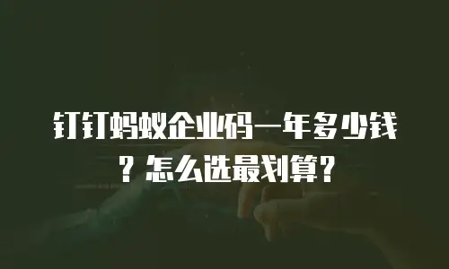 钉钉蚂蚁企业码一年多少钱？怎么选最划算？