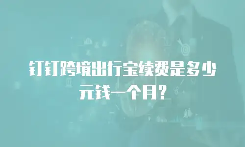钉钉跨境出行宝续费是多少元钱一个月？