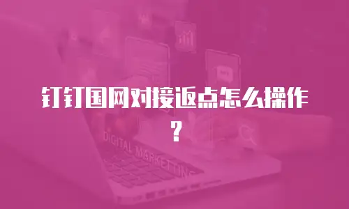 钉钉国网对接返点怎么操作？