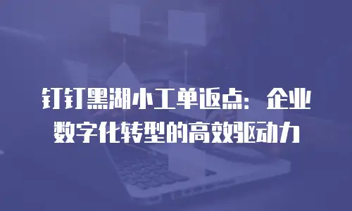 钉钉黑湖小工单返点：企业数字化转型的高效驱动力