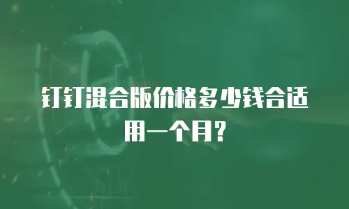 钉钉混合版价格多少钱合适用一个月？