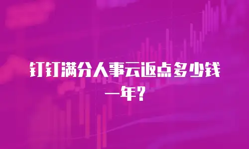 钉钉满分人事云返点多少钱一年？
