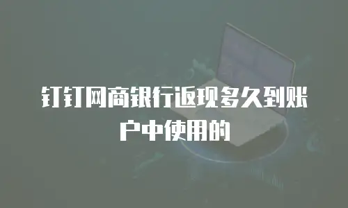 钉钉网商银行返现多久到账户中使用的