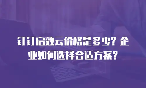 钉钉启效云价格是多少？企业如何选择合适方案？