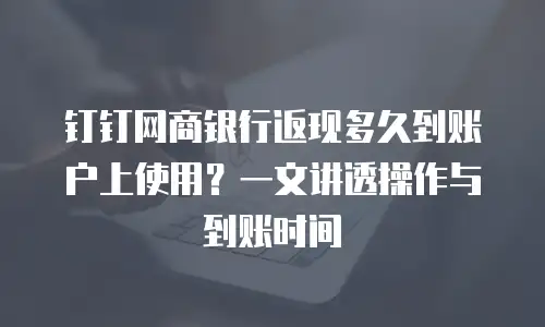 钉钉网商银行返现多久到账户上使用？一文讲透操作与到账时间