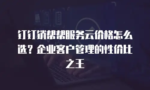 钉钉销帮帮服务云价格怎么选？企业客户管理的性价比之王