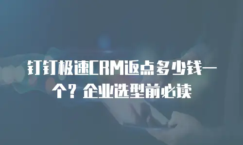 钉钉极速CRM返点多少钱一个？企业选型前必读